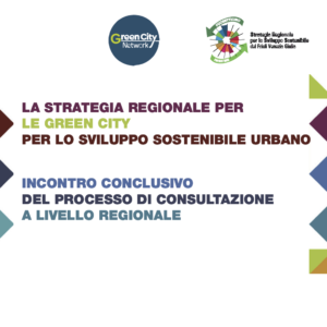 strategia regionale fvg